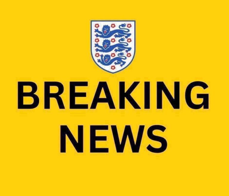 a-new-manager-for-the-england-national-football-team-has-been-appointed